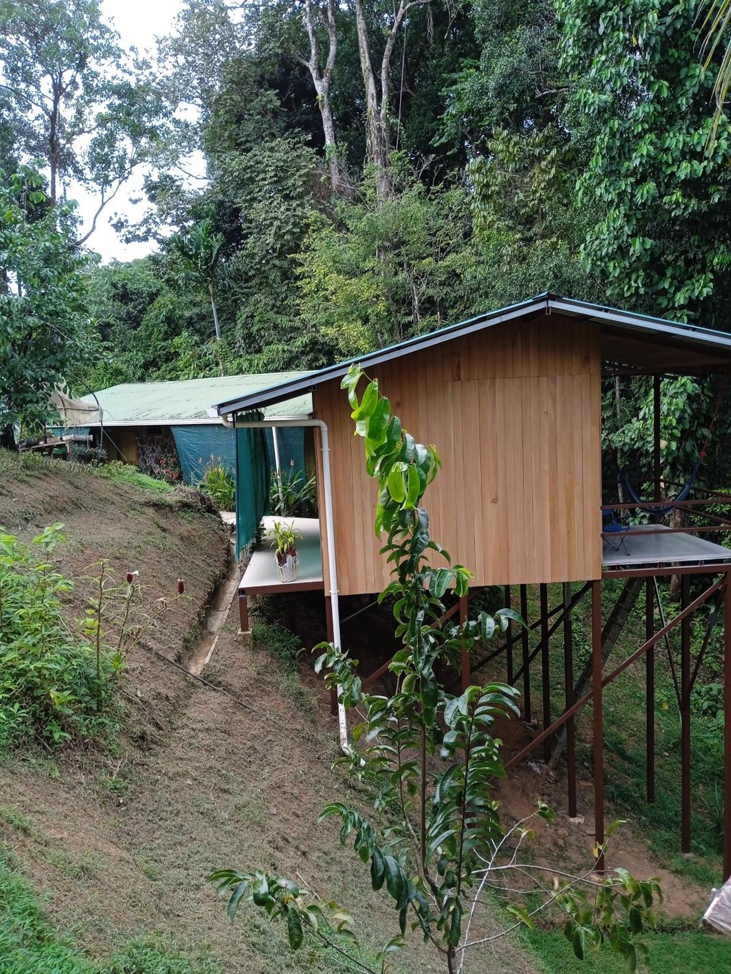 Cabanas Bajo Bosque Drake Драке Экстерьер фото