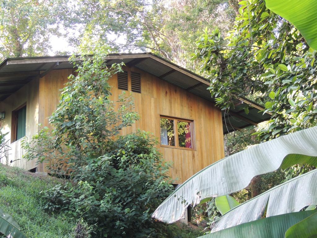 Cabanas Bajo Bosque Drake Драке Экстерьер фото