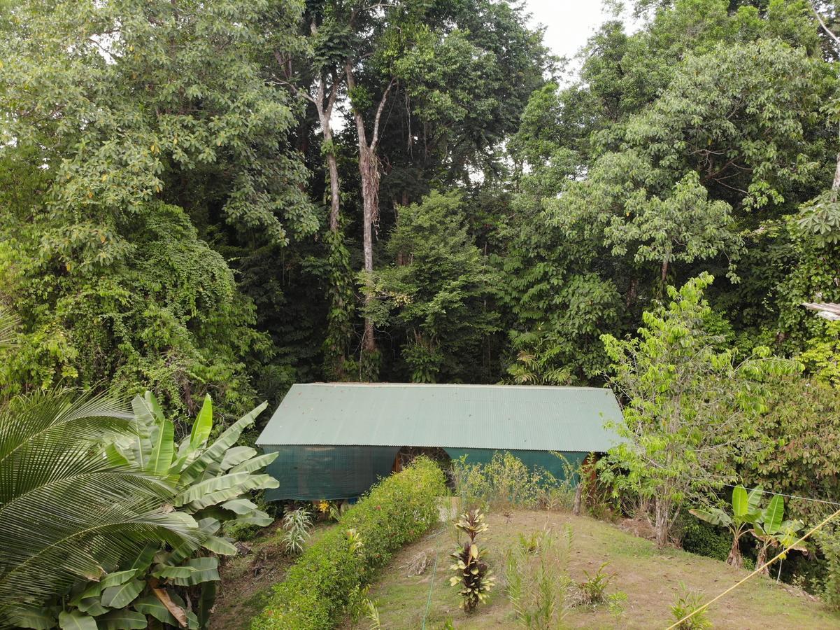Cabanas Bajo Bosque Drake Драке Экстерьер фото